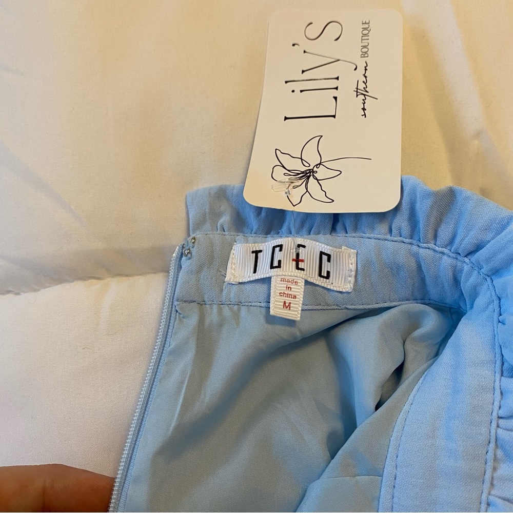 TCEC Baby Blue Ruffled Long Sleeve Dress - Picture 3 of 3